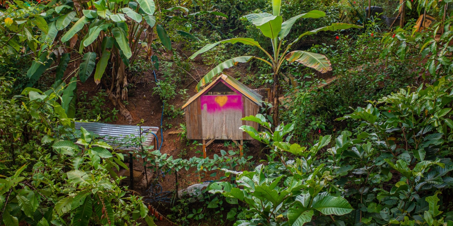 Beautiful 3-Bedroom Home with Cabin, River & Jungle on a 3 Acre Property in Tres Rios Costa Rica