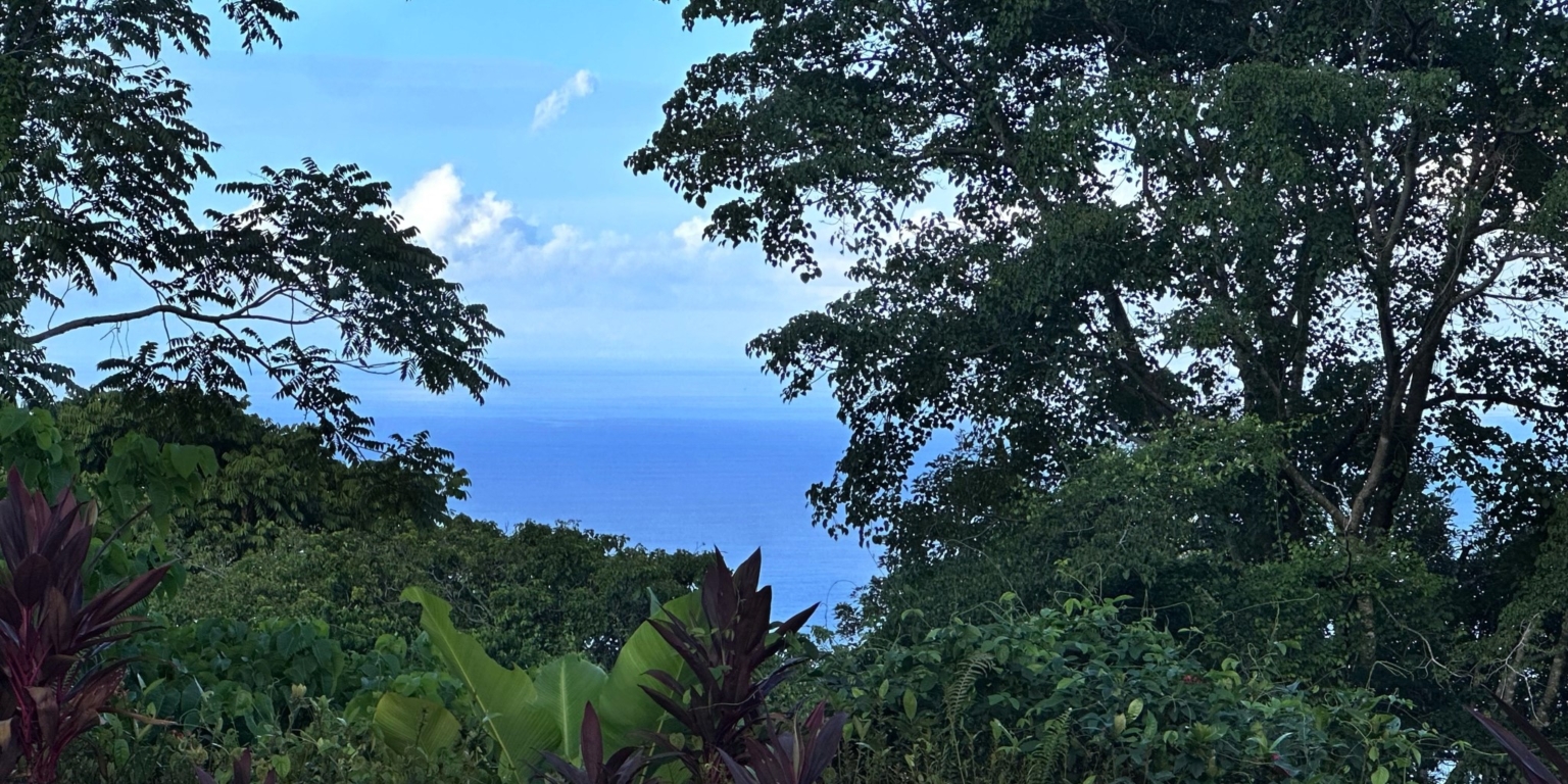 Ocean View 2-Bedroom Home in Prestigious Marina Vista Community in Escalares Costa Rica Ocean View 2-Bedroom Home in Prestigious Marina Vista Community in Escalares Costa Rica