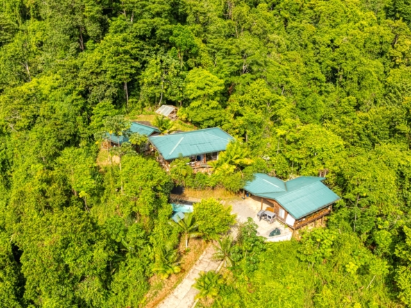 Exceptional Retreat Center on 62 Acre in the Mountains & Jungles of Tinamastes Costa Rica