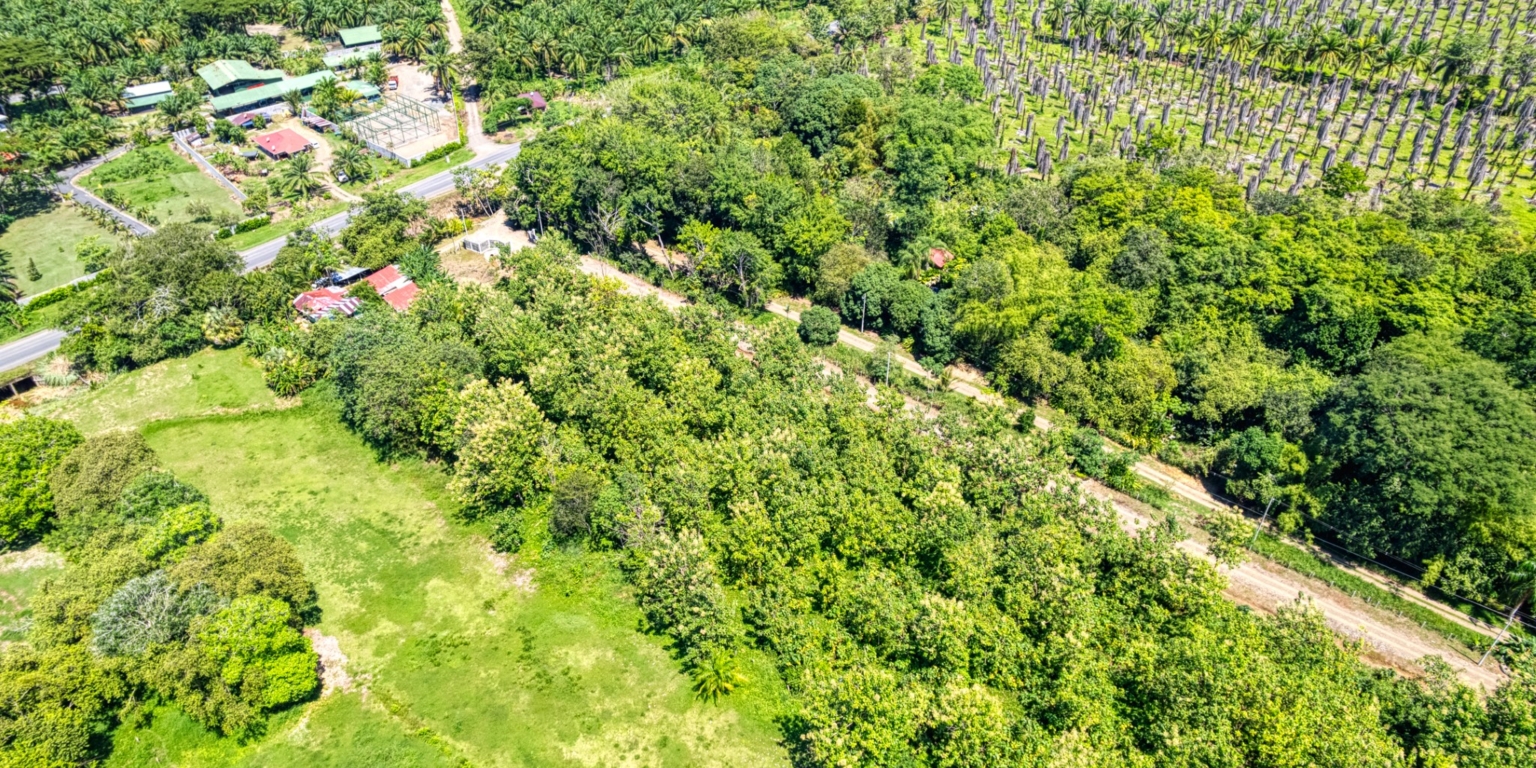 Ocean View Building Lots in the Hills above Matapalo Beach near Dominical Costa Rica