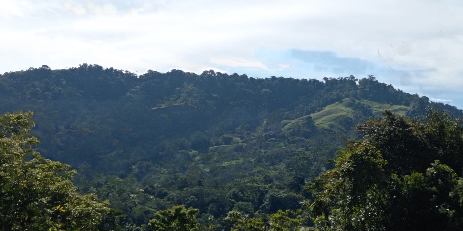 IMG_20230804_080219 Finca Vista Hermosa with Nearly 80 Acres of Land Perfect for your Estate, Farming, or Family Compound in Tinamastes Costa Rica