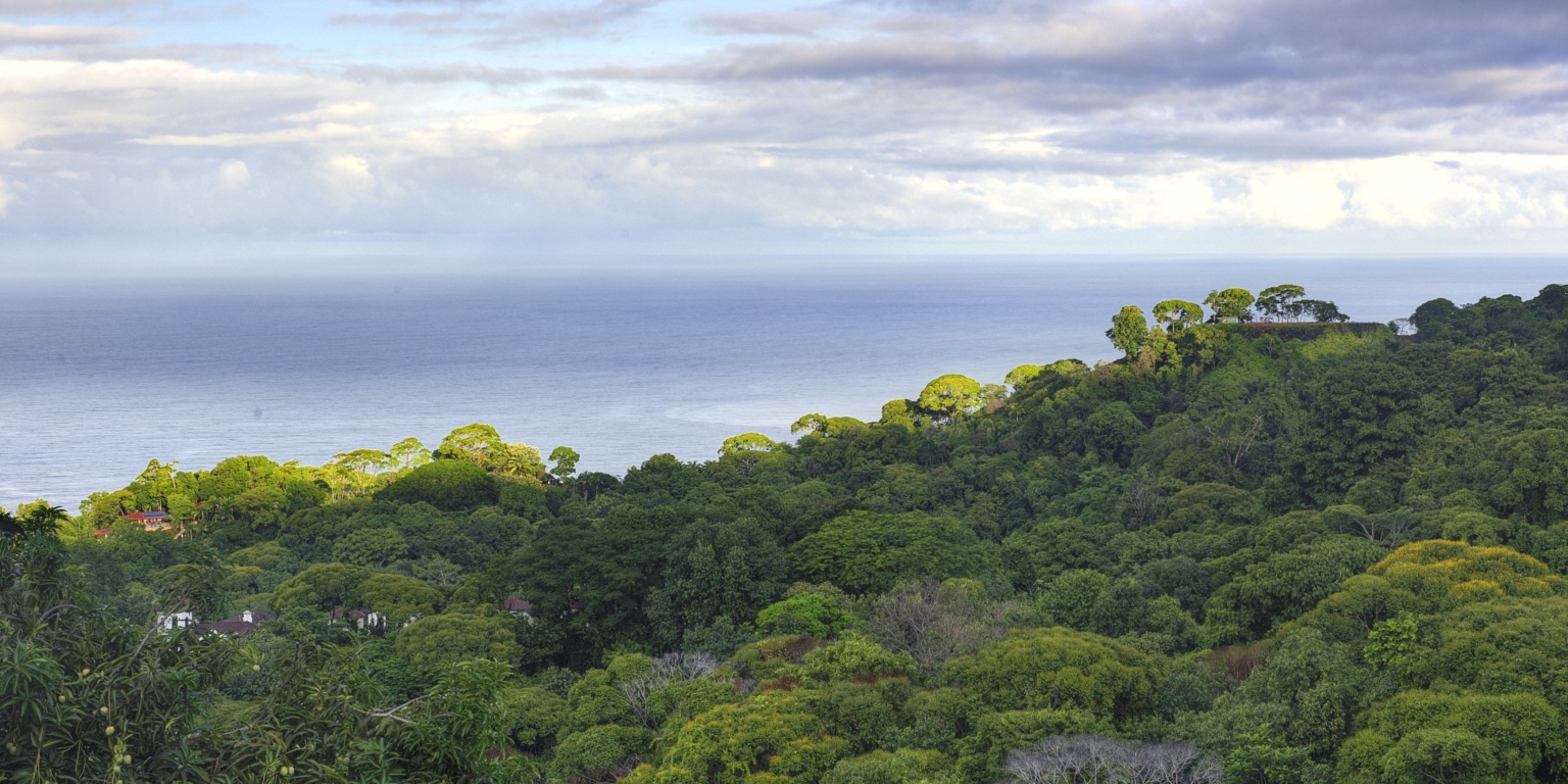Tropical Resort-Style Ocean View Estate with Pool, 4-Bedroom Home & Guest House in Dominical Costa Rica Tropical Resort-Style Ocean View Estate with Pool, 4-Bedroom Home & Guest House in Dominical Costa Rica