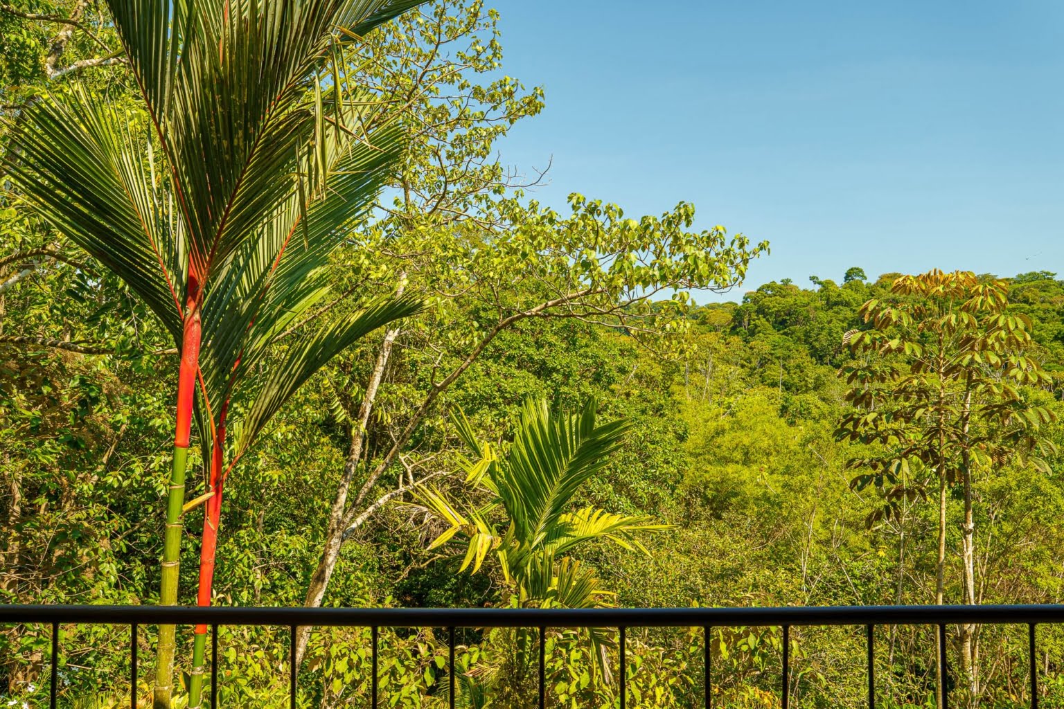 DSC08606-HDR Private Oasis 3-Bedroom Home in a Desirable Neighborhood in Ojochal Costa Rica