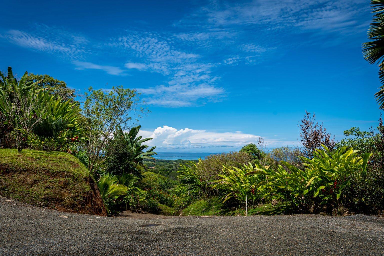Luxury Ocean View 6-Bedroom Villa as an Exceptional Investment Opportunity