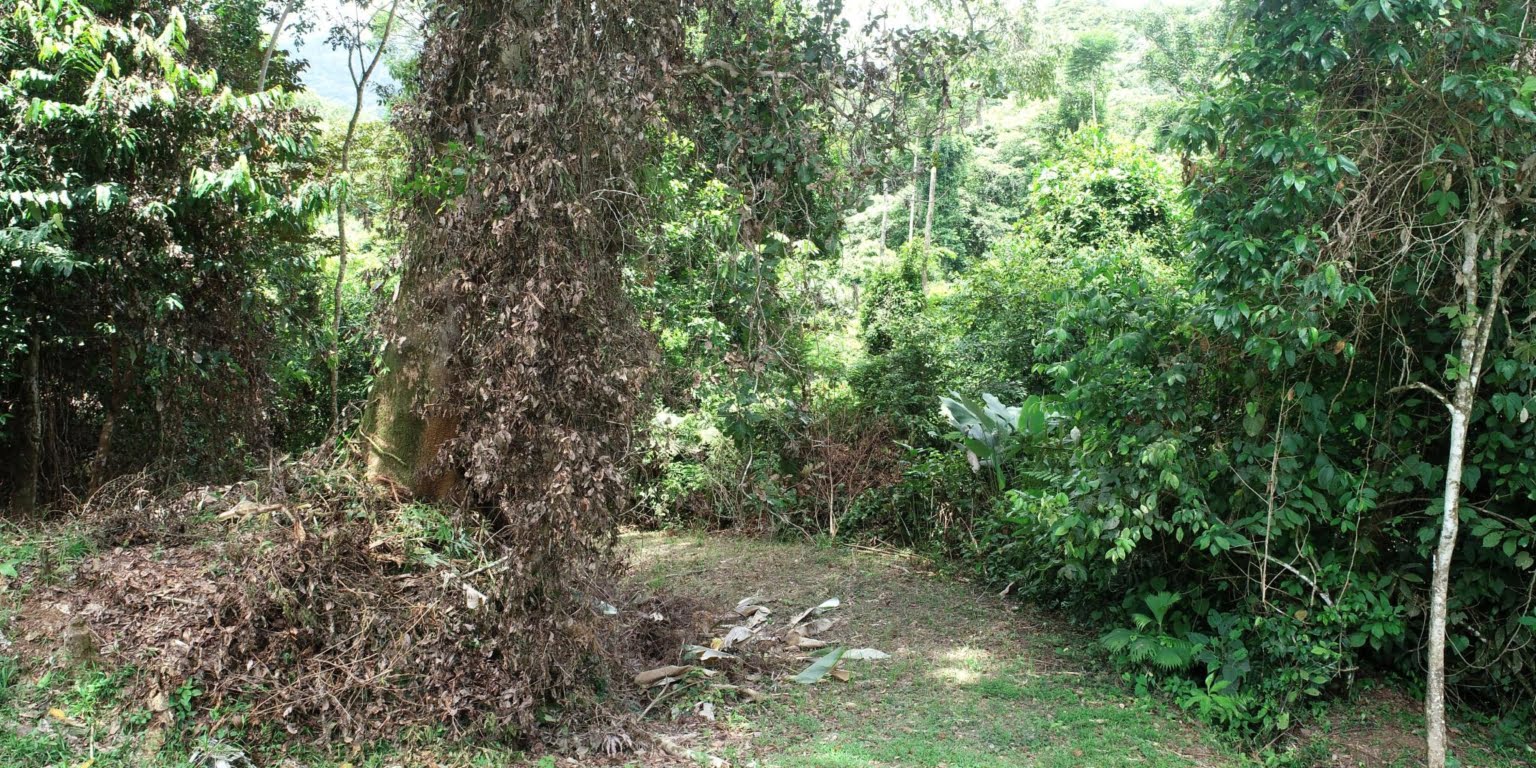 4.6 Acre Mountain-View Lot with Creek, Jungle & ASADA Water, Ready to Build in Finca Maranon in Ojochal Costa Rica 4.6 Acre Mountain-View Lot with Creek, Jungle & ASADA Water, Ready to Build in Finca Maranon in Ojochal Costa Rica