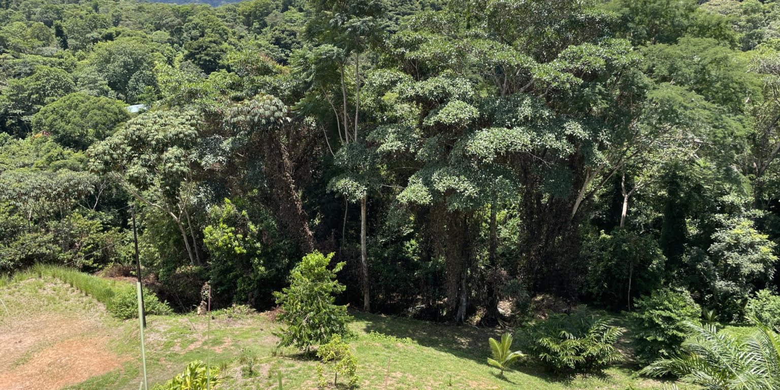 4.6 Acre Mountain-View Lot with Creek, Jungle & ASADA Water, Ready to Build in Finca Maranon in Ojochal Costa Rica 4.6 Acre Mountain-View Lot with Creek, Jungle & ASADA Water, Ready to Build in Finca Maranon in Ojochal Costa Rica
