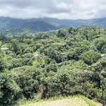 4.6 Acre Mountain-View Lot with Creek, Jungle & ASADA Water, Ready to Build in Finca Maranon in Ojochal Costa Rica