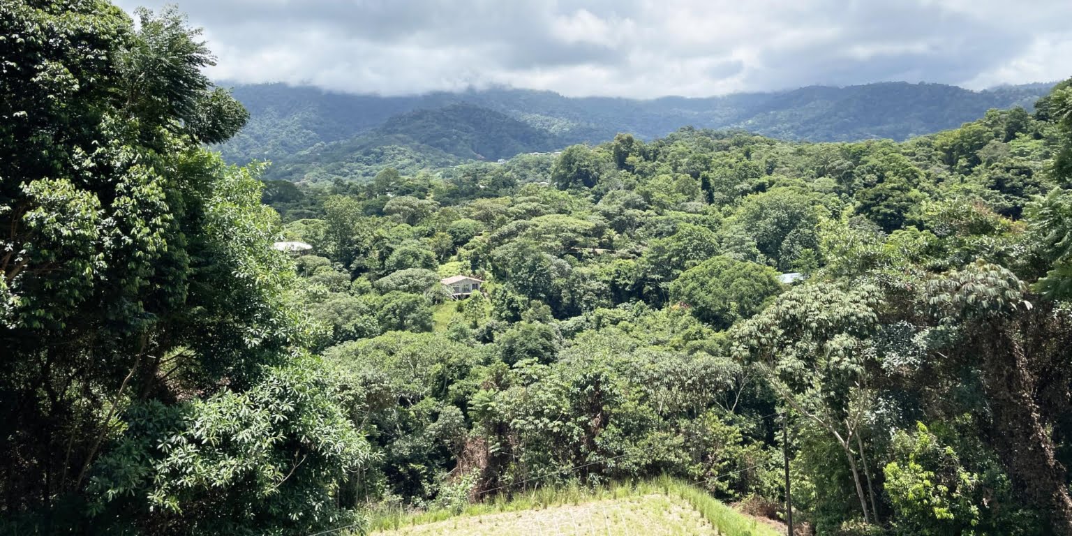 4.6 Acre Mountain-View Lot with Creek, Jungle & ASADA Water, Ready to Build in Finca Maranon in Ojochal Costa Rica 4.6 Acre Mountain-View Lot with Creek, Jungle & ASADA Water, Ready to Build in Finca Maranon in Ojochal Costa Rica