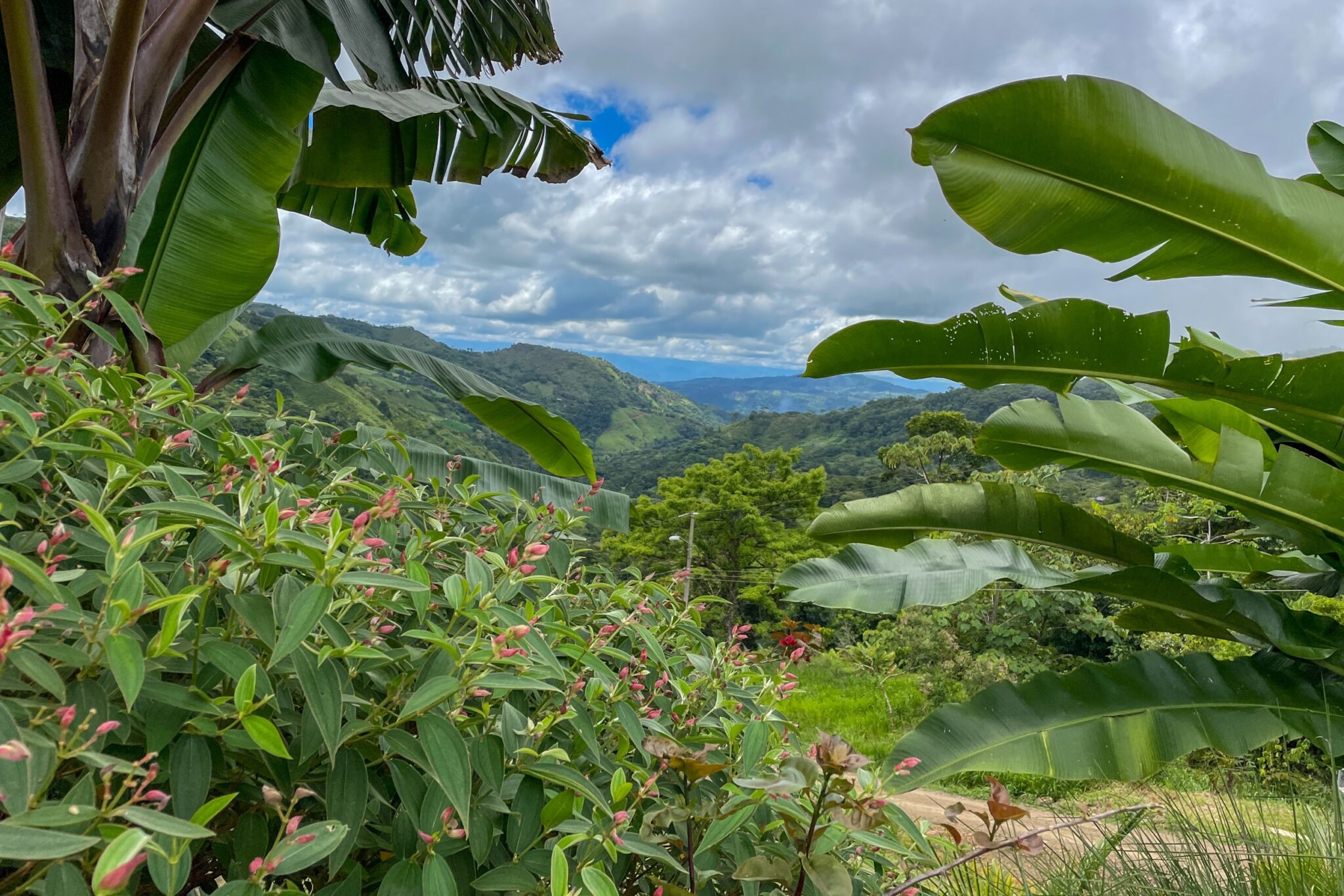 Spacious & Bright 1-Bedroom Home with Big Outdoor Living Space & Panoramic Mountain Views in a Peaceful Environment in Serenity Gardens above Tres Rios Costa Rica