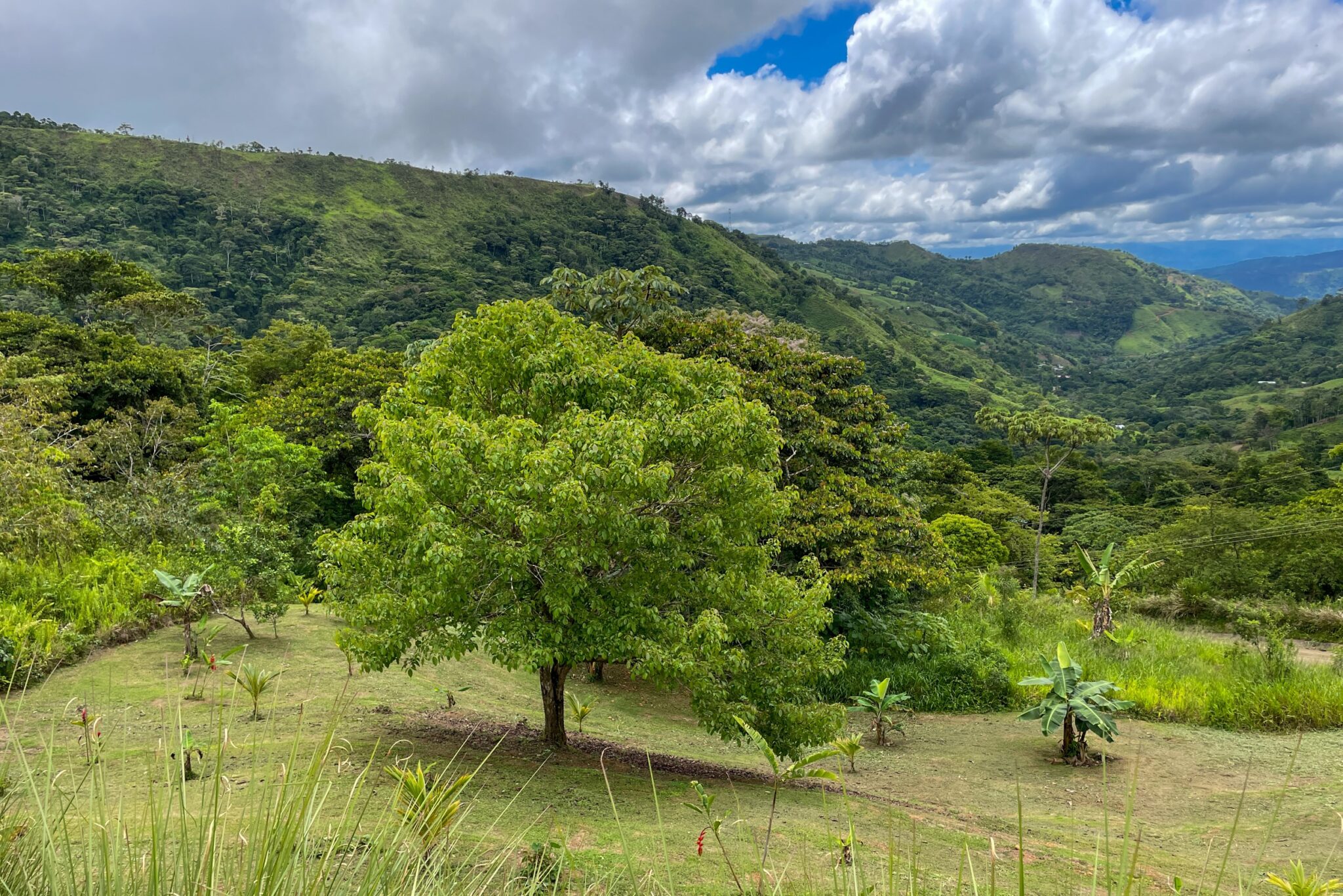 Spacious & Bright 1-Bedroom Home with Big Outdoor Living Space & Panoramic Mountain Views in a Peaceful Environment in Serenity Gardens above Tres Rios Costa Rica