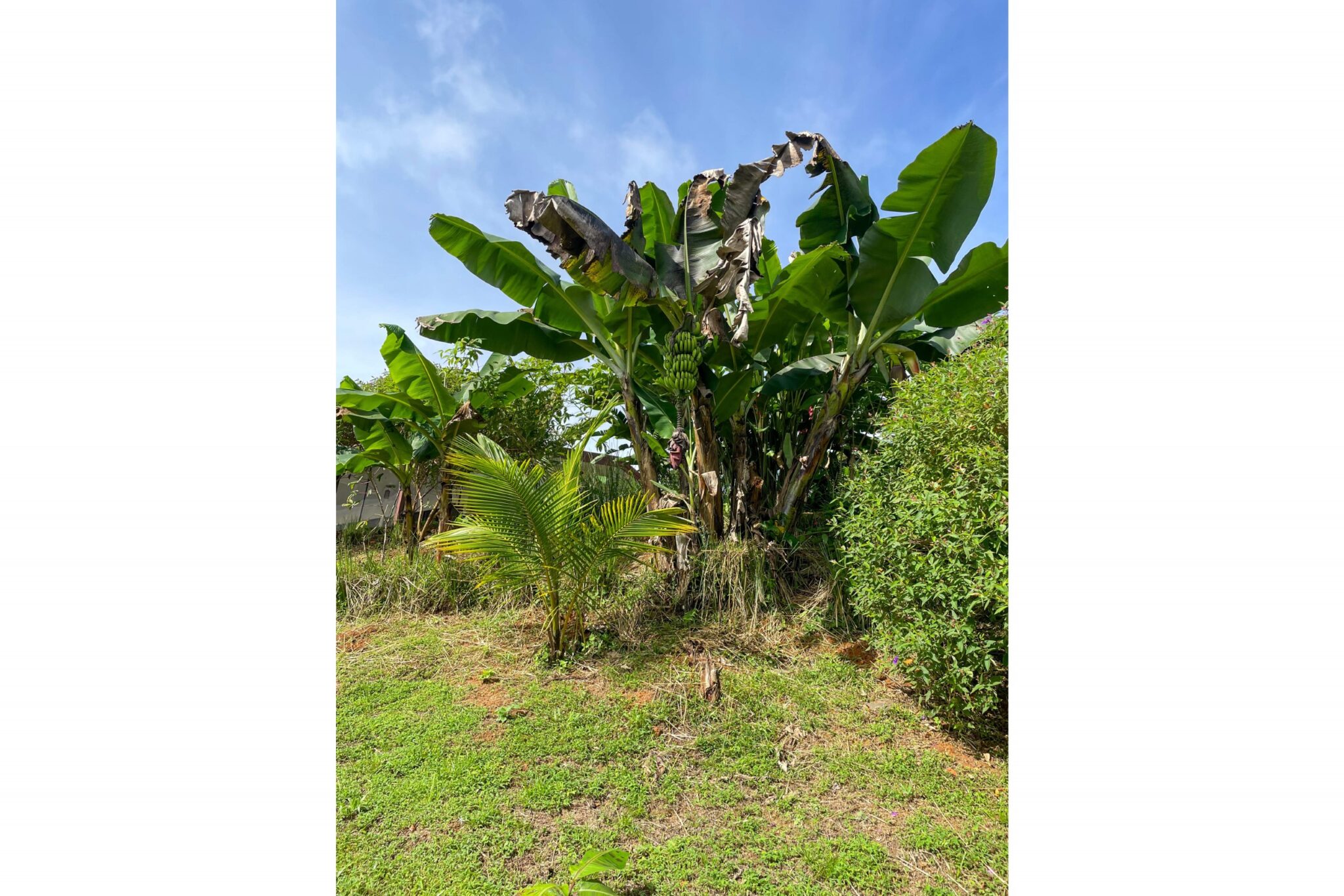 Spacious & Bright 1-Bedroom Home with Big Outdoor Living Space & Panoramic Mountain Views in a Peaceful Environment in Serenity Gardens above Tres Rios Costa Rica