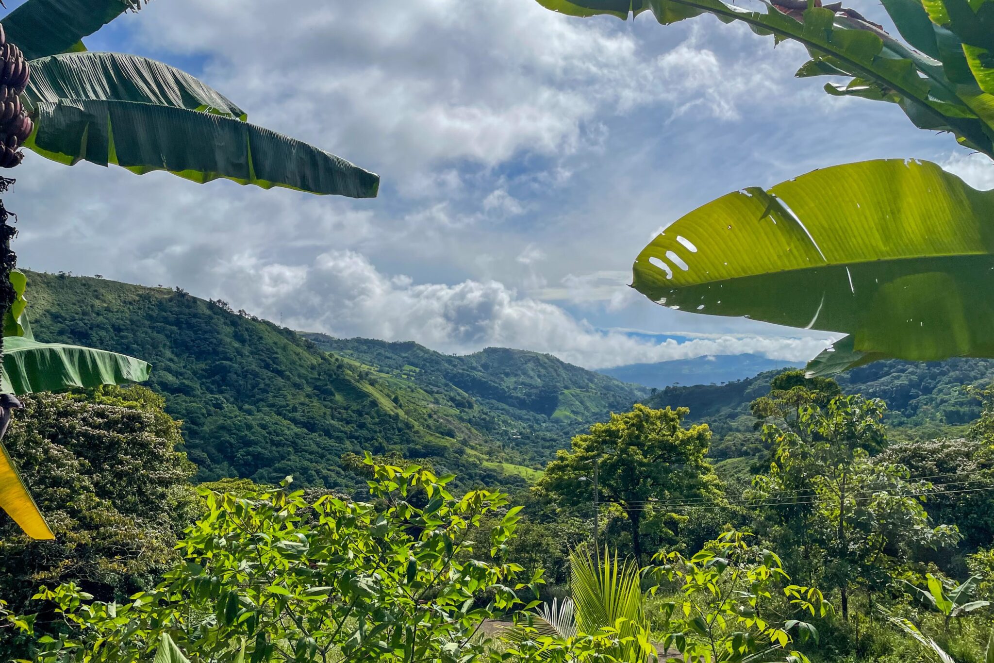 Spacious & Bright 1-Bedroom Home with Big Outdoor Living Space & Panoramic Mountain Views in a Peaceful Environment in Serenity Gardens above Tres Rios Costa Rica