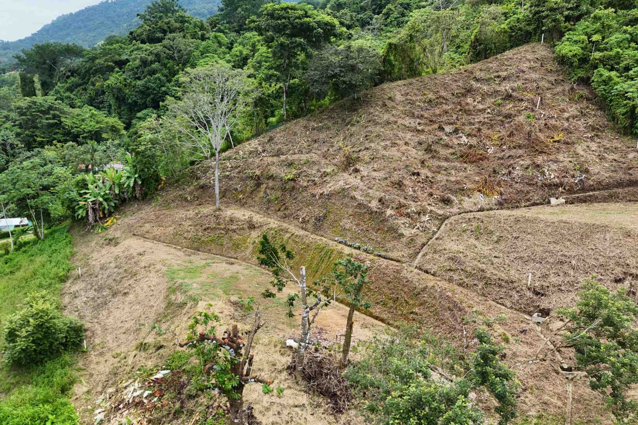 default Lot with Big Ocean Views and Legal Water, Internet & Easy Access in Ojochal Costa Rica