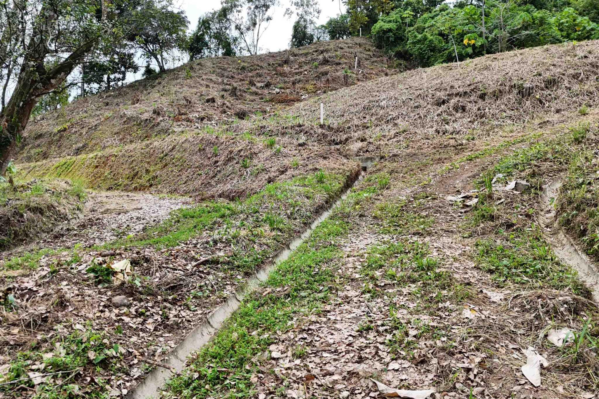 default Lot with Big Ocean Views and Legal Water, Internet & Easy Access in Ojochal Costa Rica