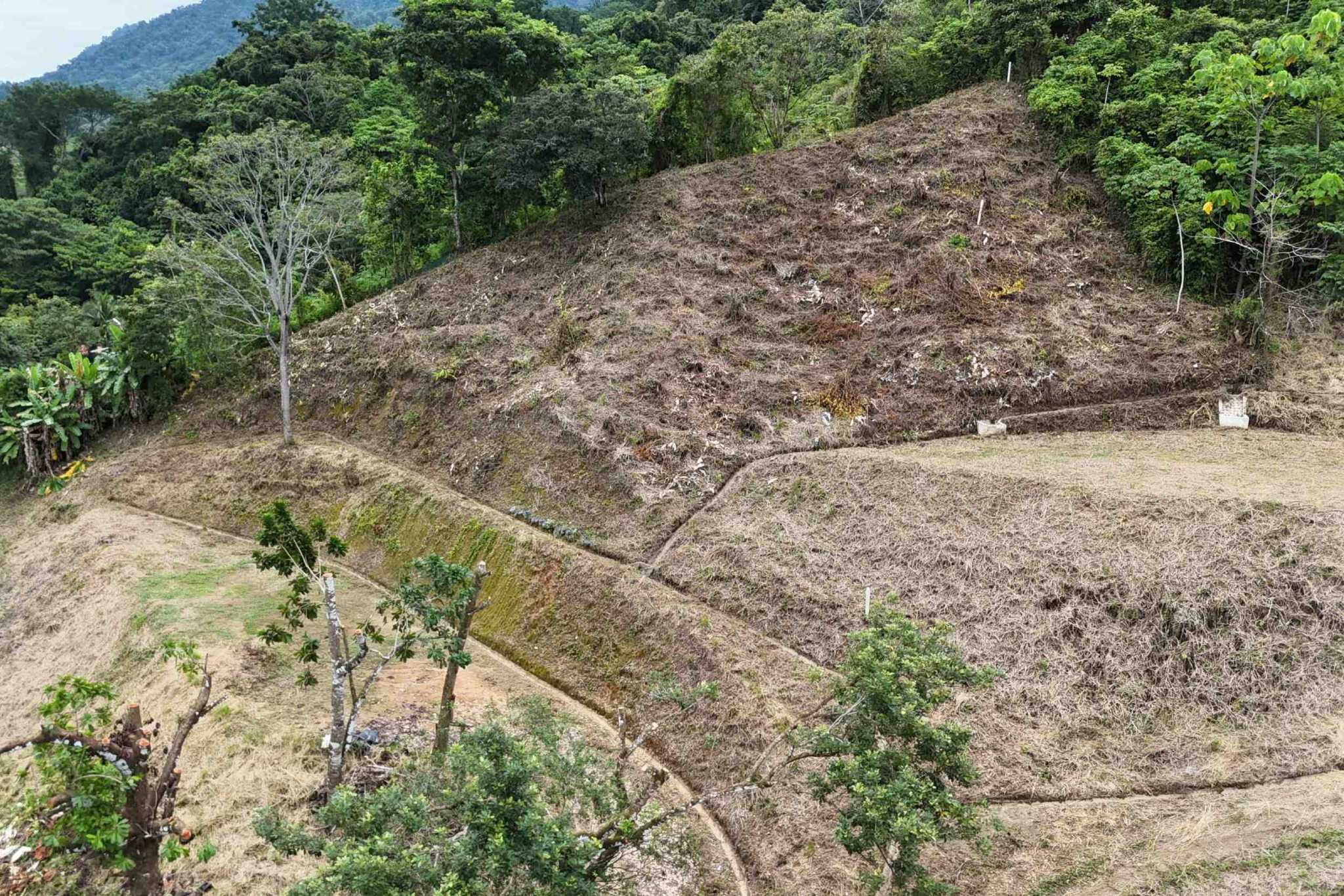 default Lot with Big Ocean Views and Legal Water, Internet & Easy Access in Ojochal Costa Rica