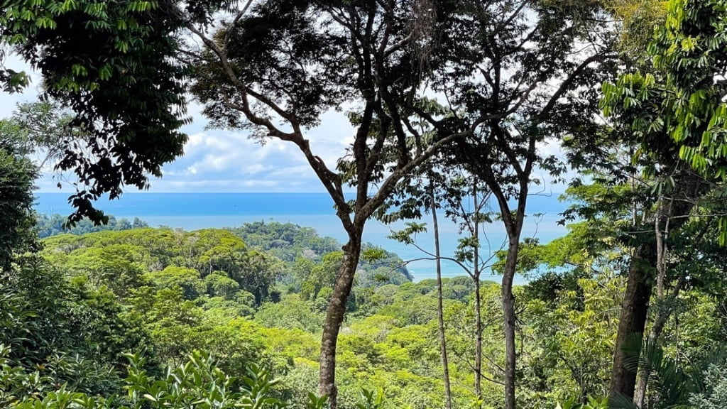 Comfy 2-Bedroom Ocean View Home with Pool on 8.5 Acres near Playa Ventanas in Ojochal Costa Rica
