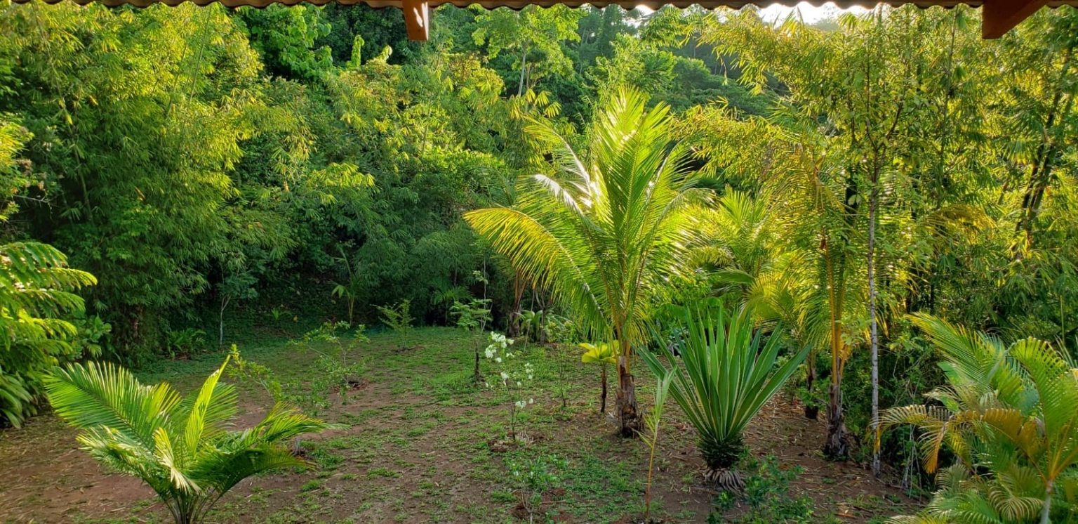 TR15 Cozy 1-Bedroom Open Home with Incredible Privacy & Simplicity on 2+ Acres in Tres Rios Costa Rica