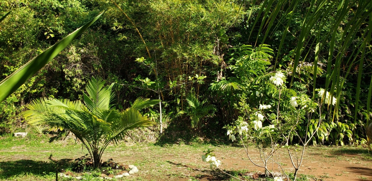 TR14 Cozy 1-Bedroom Open Home with Incredible Privacy & Simplicity on 2+ Acres in Tres Rios Costa Rica
