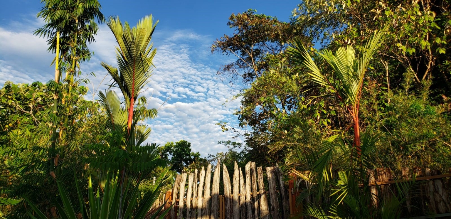 TR6 Cozy 1-Bedroom Open Home with Incredible Privacy & Simplicity on 2+ Acres in Tres Rios Costa Rica