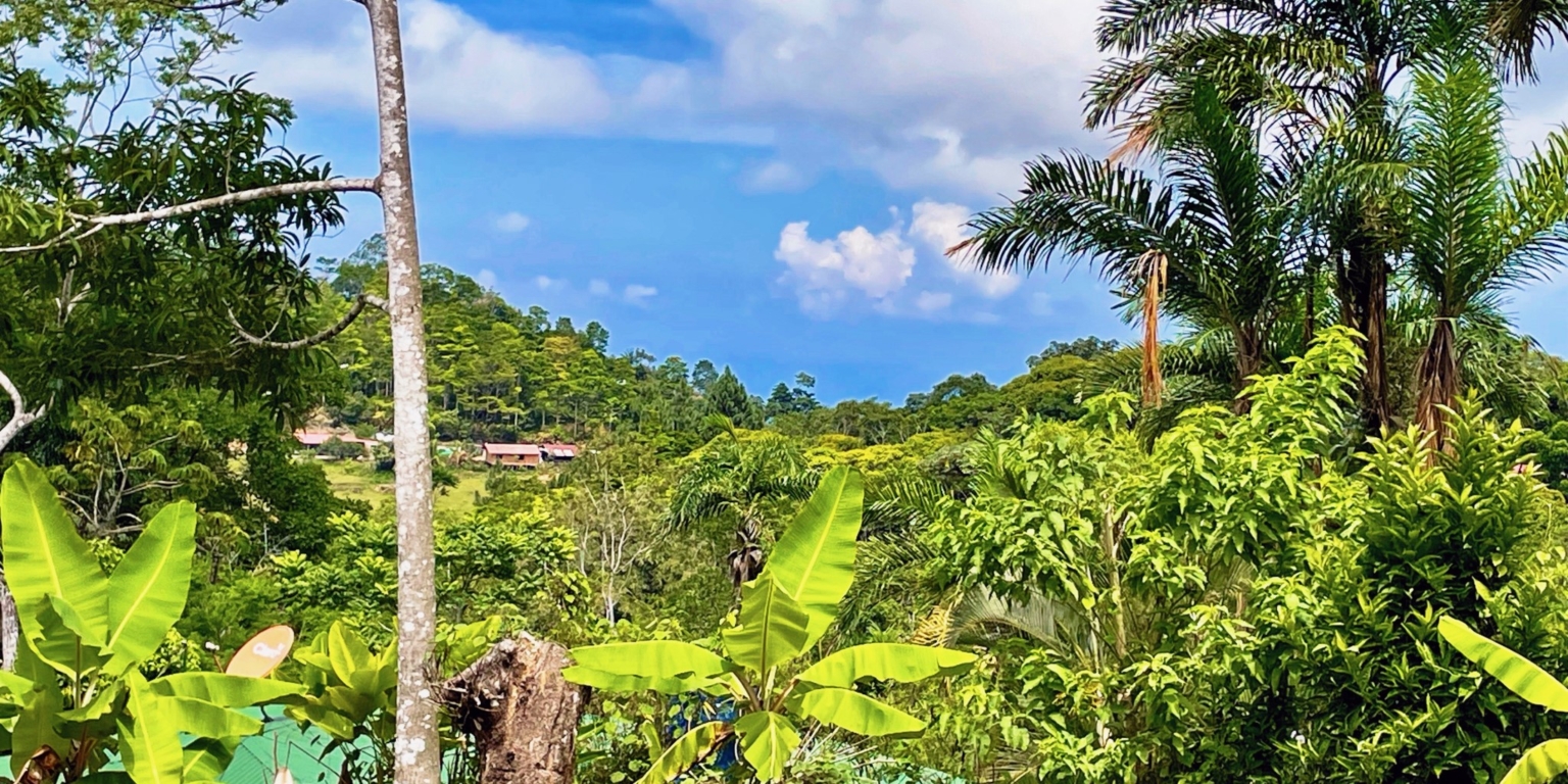 7 Renovated 2-Bedroom Home with Mountain Views & Small Ocean View, Easy Access with Commercial or Residential Usage Ready to Move in Tinamastes Costa Rica