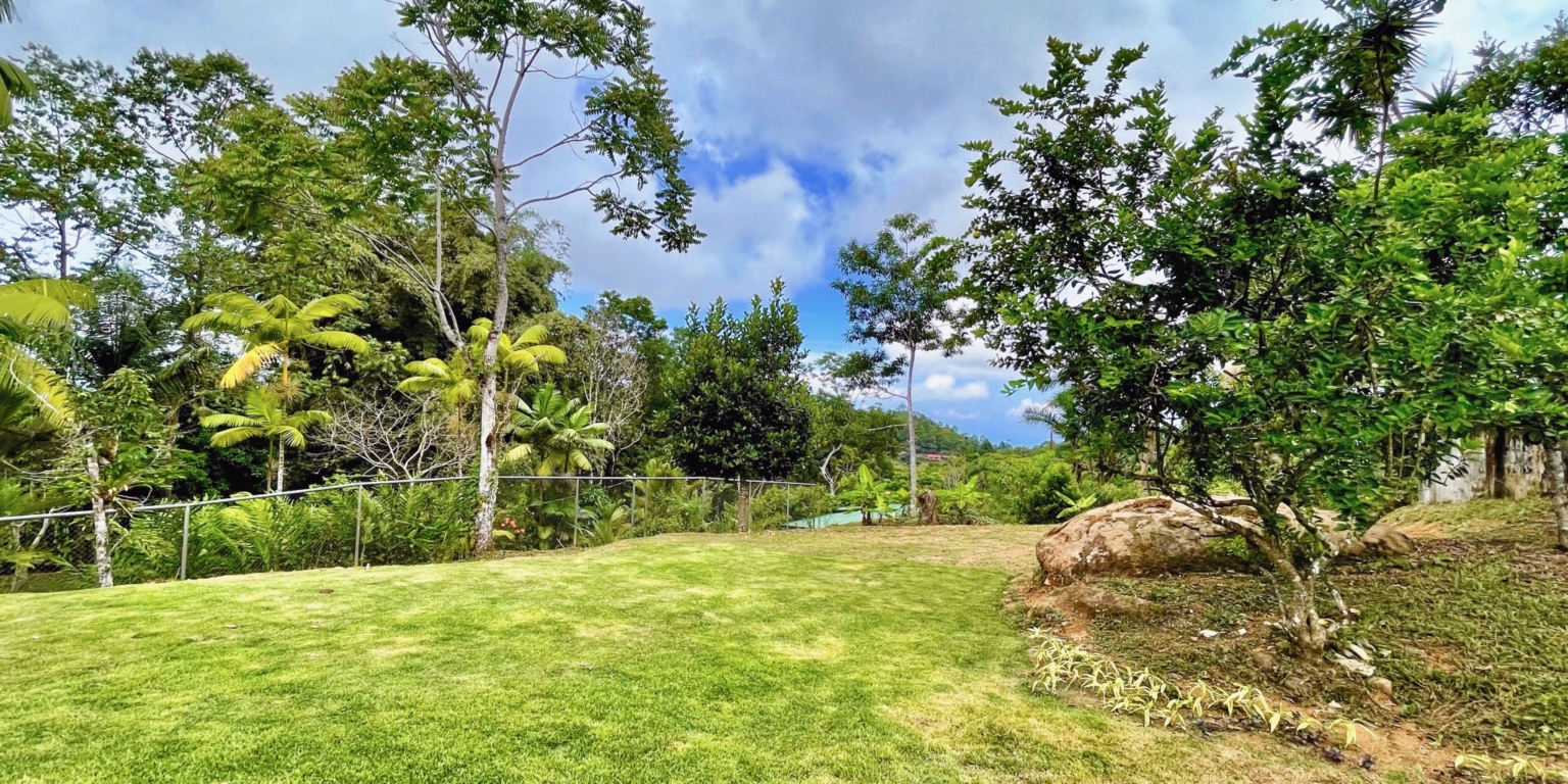 4 Renovated 2-Bedroom Home with Mountain Views & Small Ocean View, Easy Access with Commercial or Residential Usage Ready to Move in Tinamastes Costa Rica
