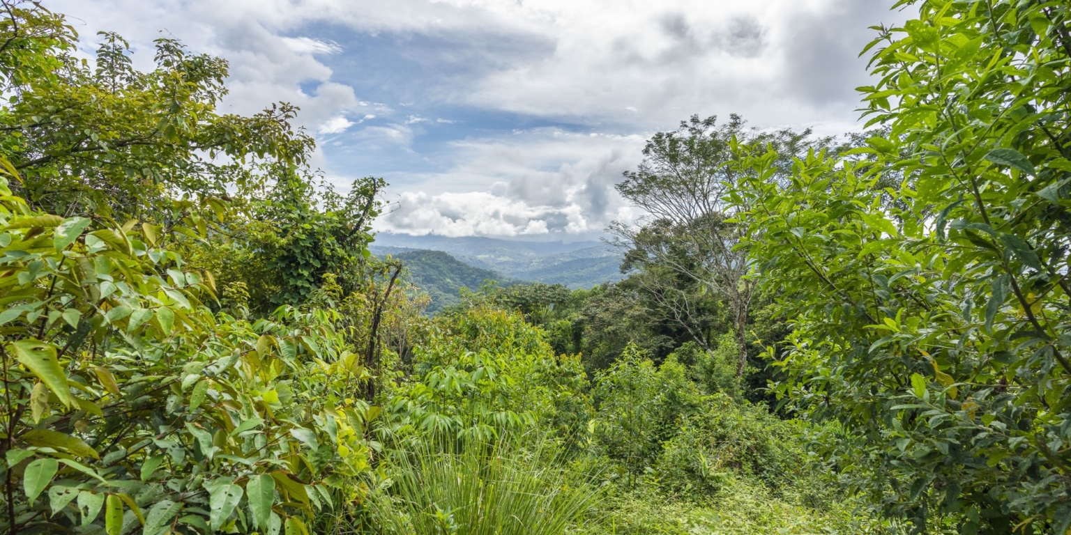Casa ZigMar_43 Ocean View 2-Bedroom with Pool, Solid Construction & Jungle Vibe plus Additional Building Lot in Lagunas above Dominical Costa Rica