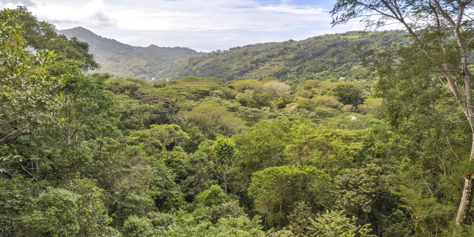 Casa ZigMar_34 Ocean View 2-Bedroom with Pool, Solid Construction & Jungle Vibe plus Additional Building Lot in Lagunas above Dominical Costa Rica