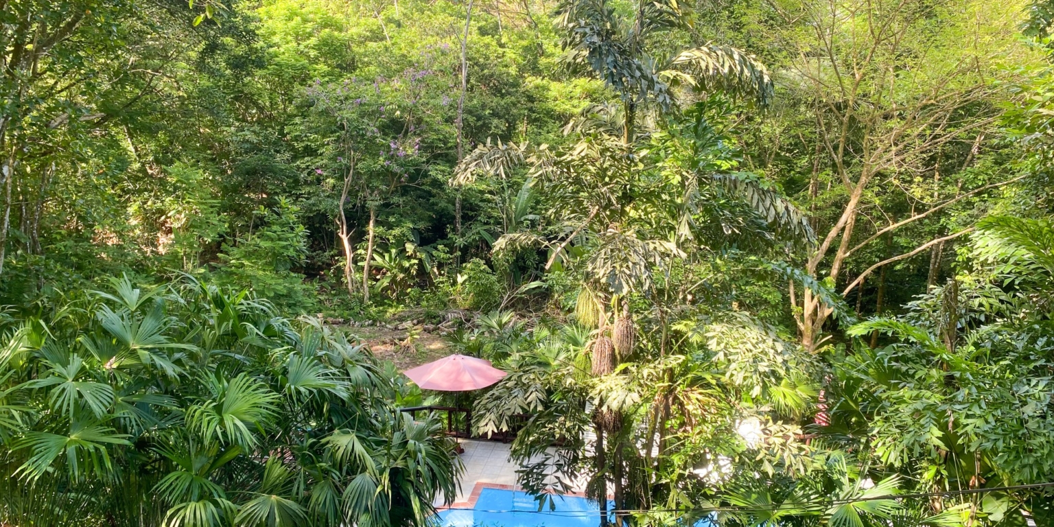 9589 Hotel Samsara In Uvita 20 Successful 10-Unit Hotel plus Home & Restaurant with Prime Location & Plenty of Land for Privacy & Room to Expand in Uvita Costa Rica