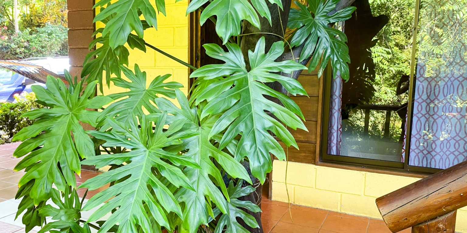 9589 Hotel Samsara In Uvita 14 Successful 10-Unit Hotel plus Home & Restaurant with Prime Location & Plenty of Land for Privacy & Room to Expand in Uvita Costa Rica