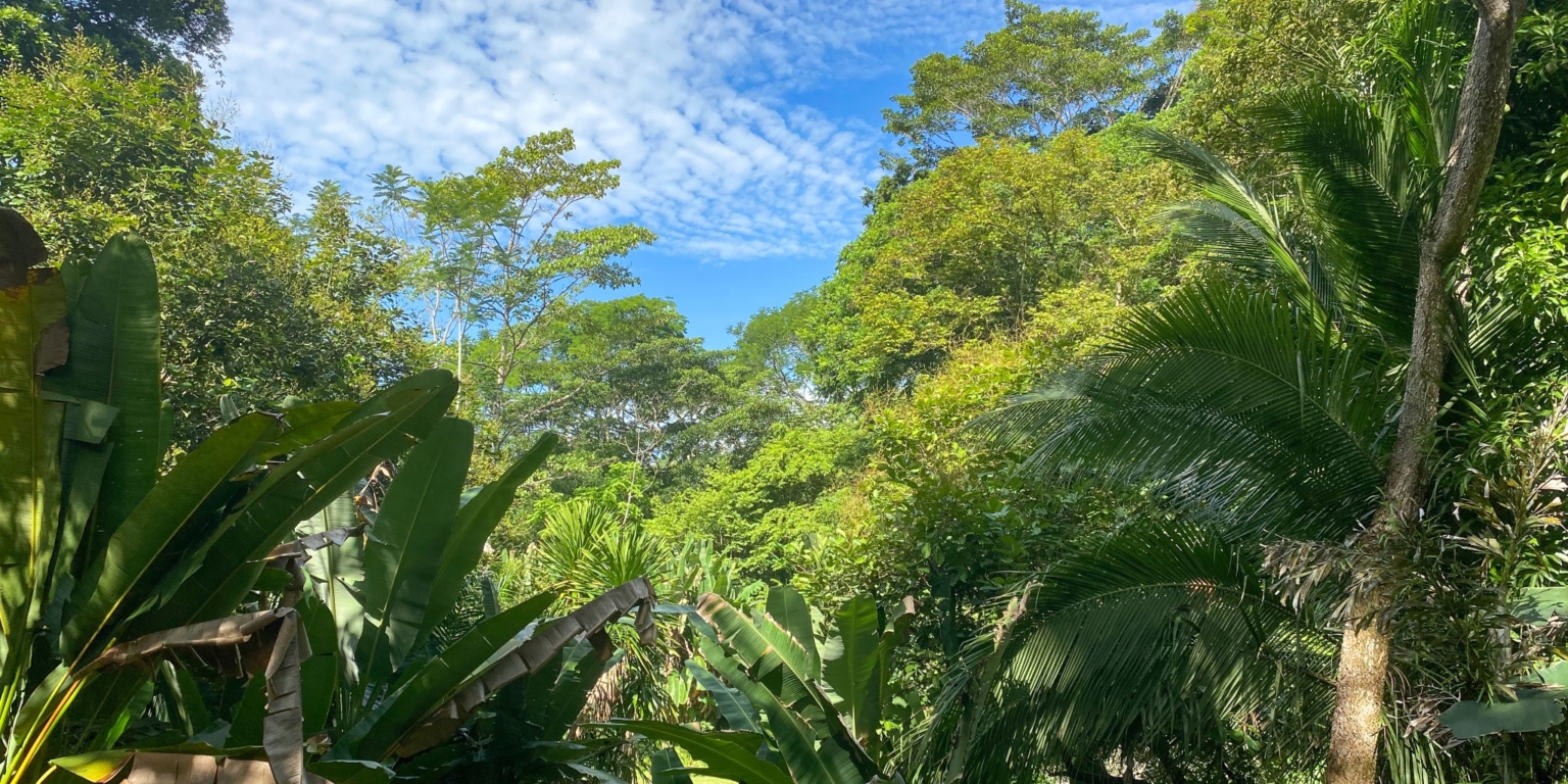 9589 Hotel Samsara In Uvita 24 Successful 10-Unit Hotel plus Home & Restaurant with Prime Location & Plenty of Land for Privacy & Room to Expand in Uvita Costa Rica