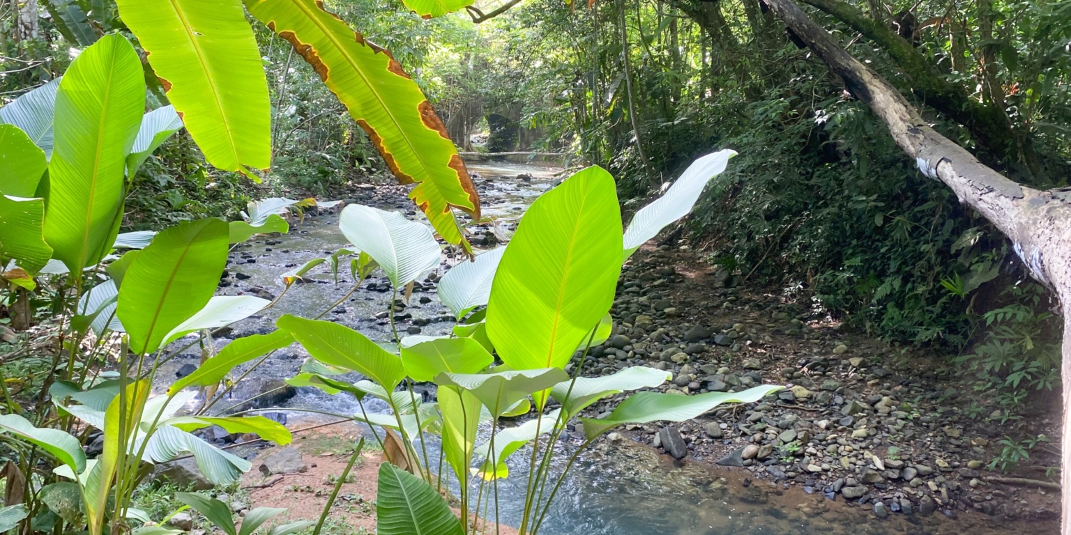 9589 Hotel Samsara In Uvita 02 Successful 10-Unit Hotel plus Home & Restaurant with Prime Location & Plenty of Land for Privacy & Room to Expand in Uvita Costa Rica
