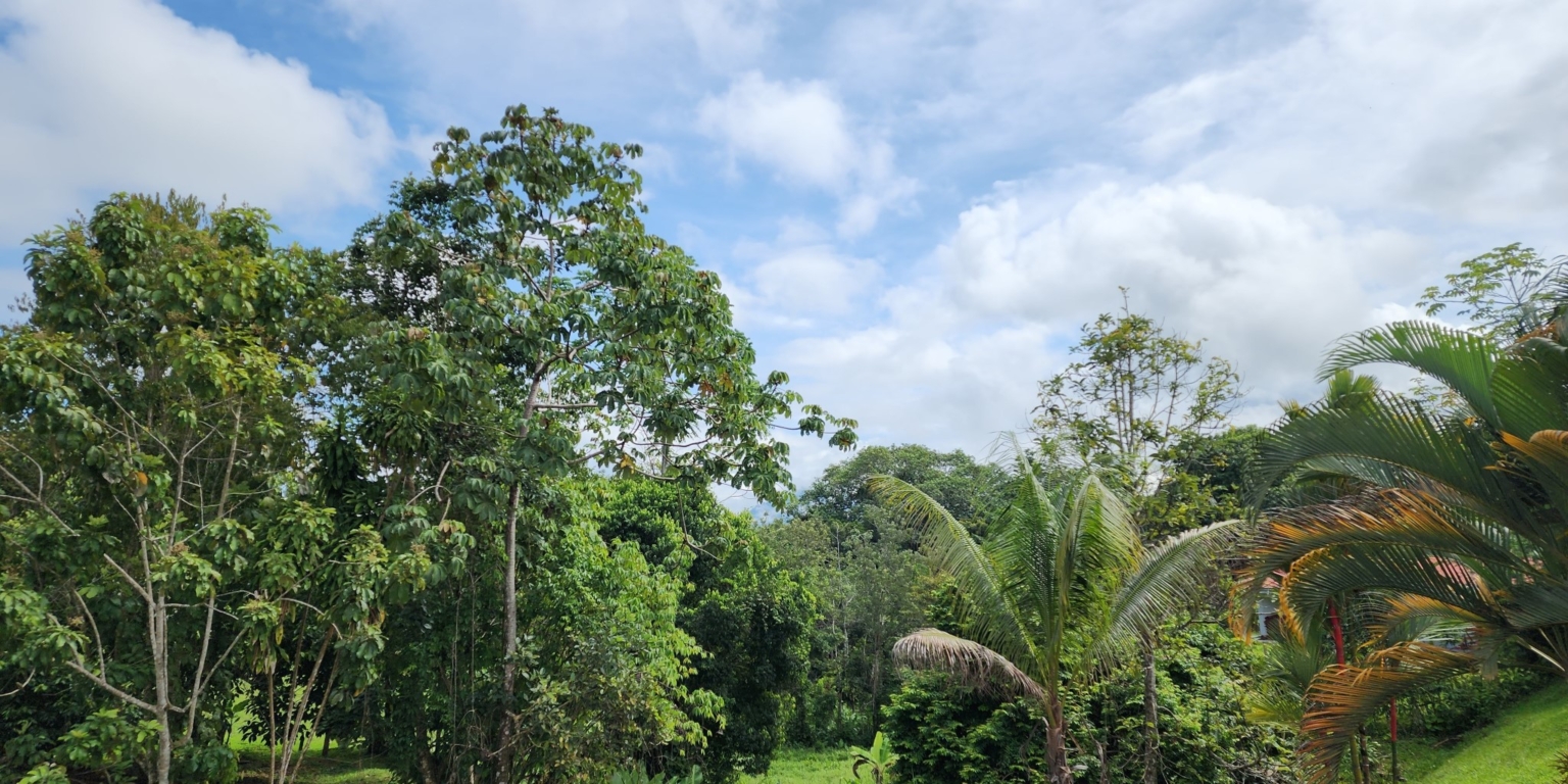 20230705_092708 Spacious, Centrally Located 3-Bedroom Home in Platanillo near Dominical Costa Rica