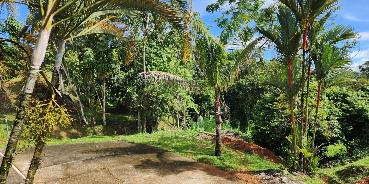 20230705_090647 Spacious, Centrally Located 3-Bedroom Home in Platanillo near Dominical Costa Rica