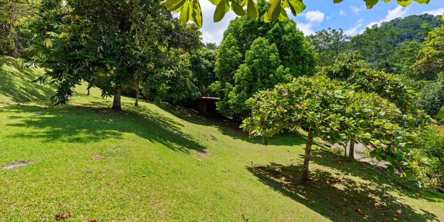 Ojochal Estate Home and Property_48 Fully Renovated Ocean-View Estate Home with Pool, Guesthouse & Caretaker Cottage with Waterfall in Phase 4 Ojochal Costa Rica