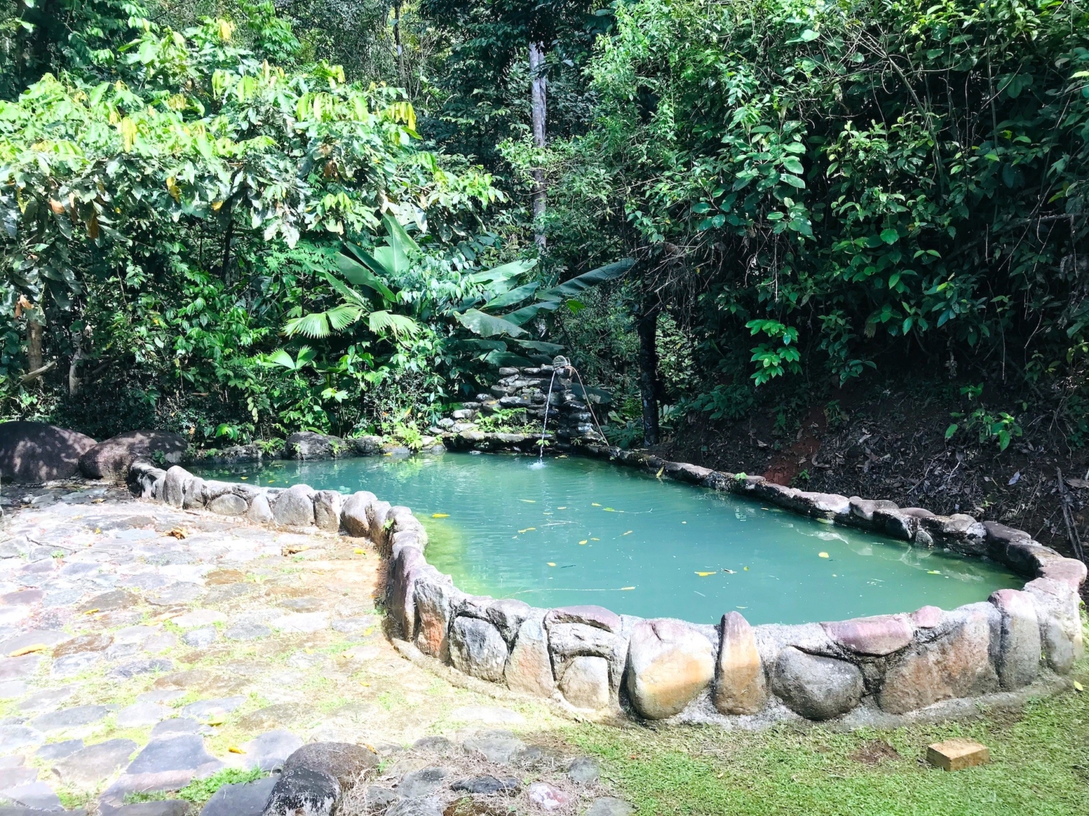 Ojochal Estate Home and Property_42 Fully Renovated Ocean-View Estate Home with Pool, Guesthouse & Caretaker Cottage with Waterfall in Phase 4 Ojochal Costa Rica