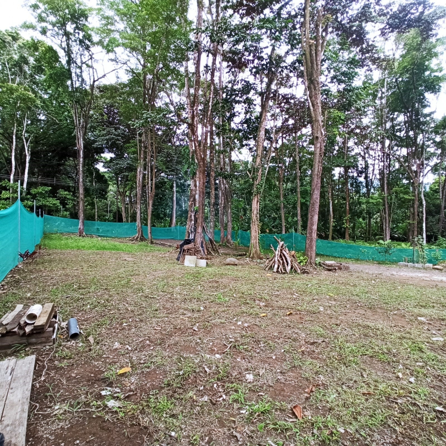 Container Home with 2-Bedrooms Surrounded by Nature & Wildlife Walking Distance to Town in Uvita Costa Rica Container Home with 2-Bedrooms Surrounded by Nature & Wildlife Walking Distance to Town in Uvita Costa Rica