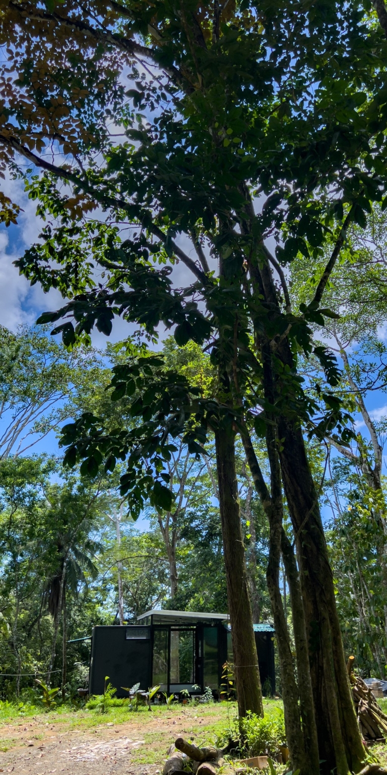 Container Home with 2-Bedrooms Surrounded by Nature & Wildlife Walking Distance to Town in Uvita Costa Rica Container Home with 2-Bedrooms Surrounded by Nature & Wildlife Walking Distance to Town in Uvita Costa Rica