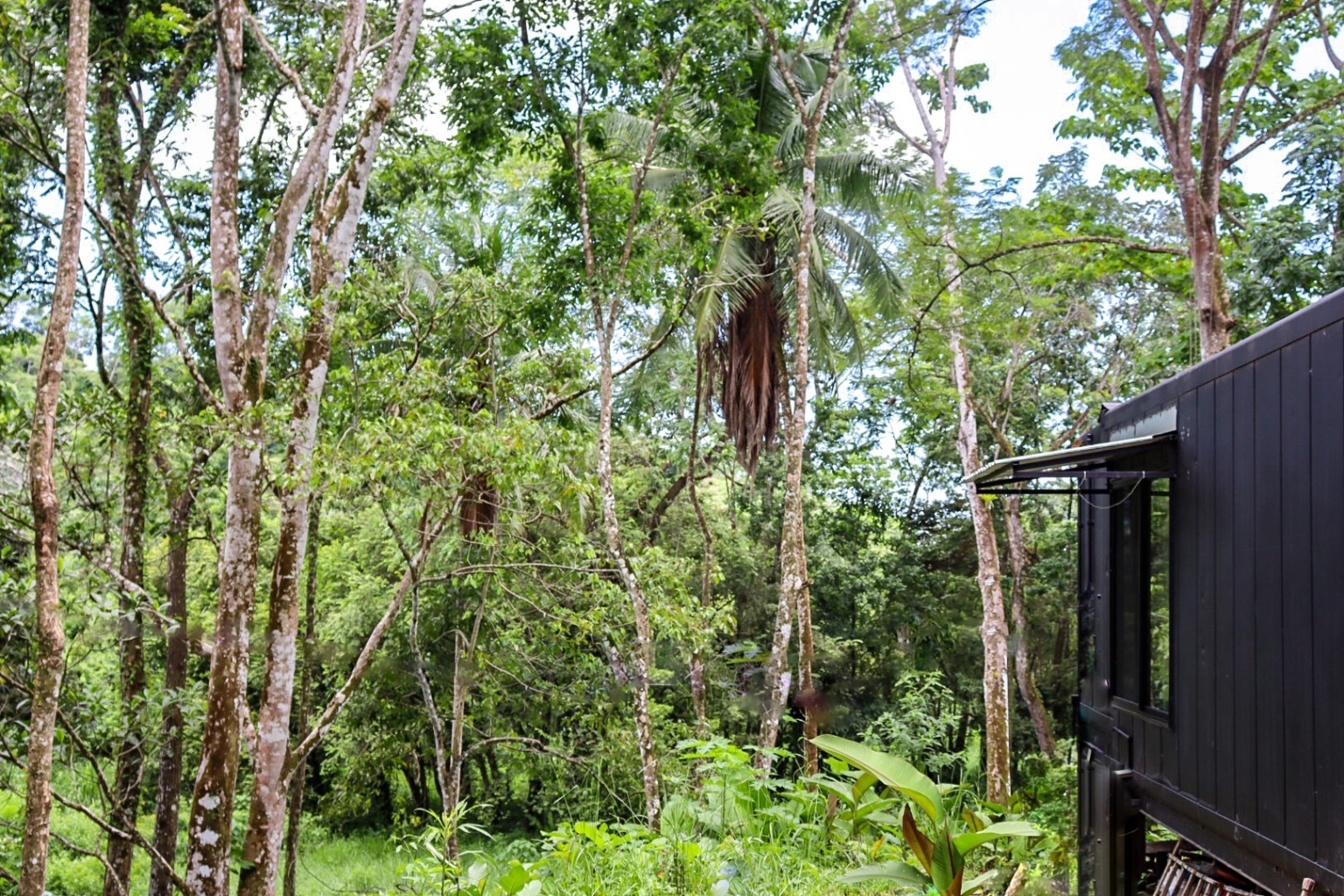 Container Home with 2-Bedrooms Surrounded by Nature & Wildlife Walking Distance to Town in Uvita Costa Rica Container Home with 2-Bedrooms Surrounded by Nature & Wildlife Walking Distance to Town in Uvita Costa Rica