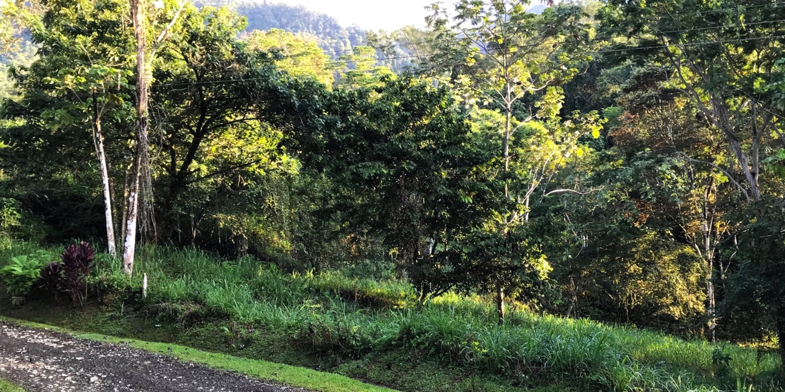 1 (26) The Largest Ready to Build Residential Lot in the Beautiful Gated Community of Turistico Tortuga Phase 6 in Ojochal Costa Rica