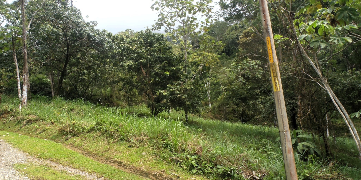 1 (23) The Largest Ready to Build Residential Lot in the Beautiful Gated Community of Turistico Tortuga Phase 6 in Ojochal Costa Rica