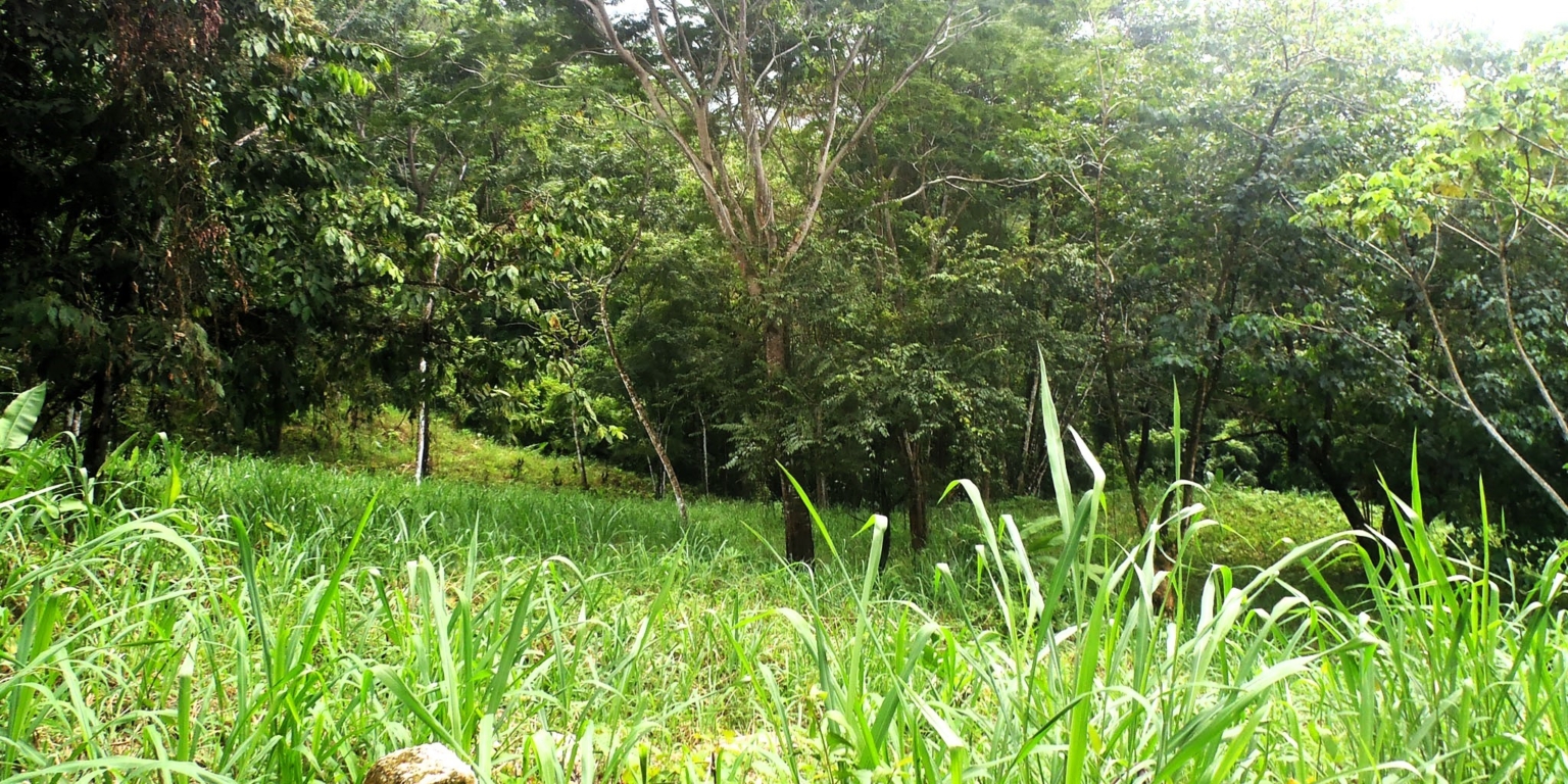 1 (20) The Largest Ready to Build Residential Lot in the Beautiful Gated Community of Turistico Tortuga Phase 6 in Ojochal Costa Rica