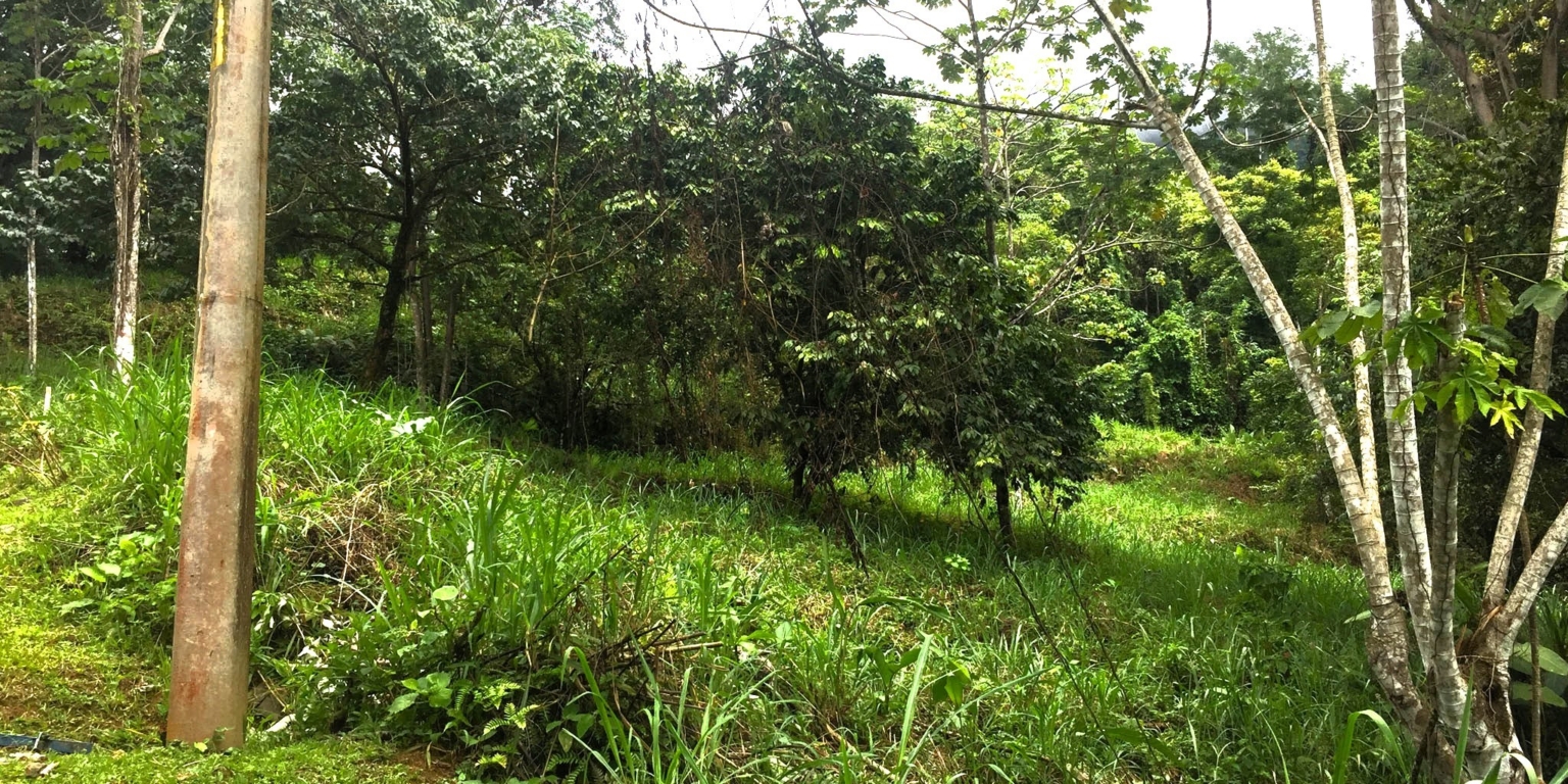 1 (17) The Largest Ready to Build Residential Lot in the Beautiful Gated Community of Turistico Tortuga Phase 6 in Ojochal Costa Rica