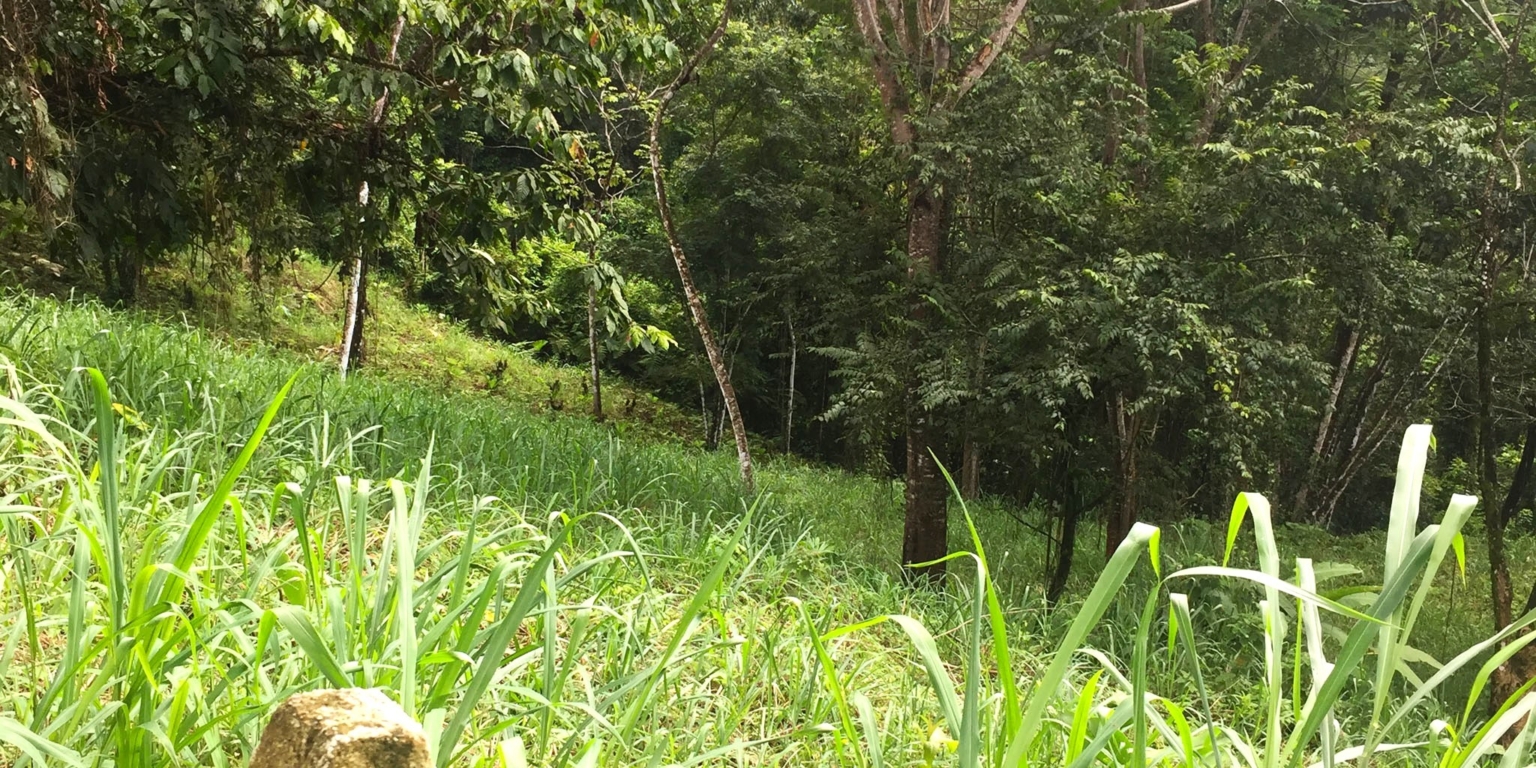 1 (14) The Largest Ready to Build Residential Lot in the Beautiful Gated Community of Turistico Tortuga Phase 6 in Ojochal Costa Rica
