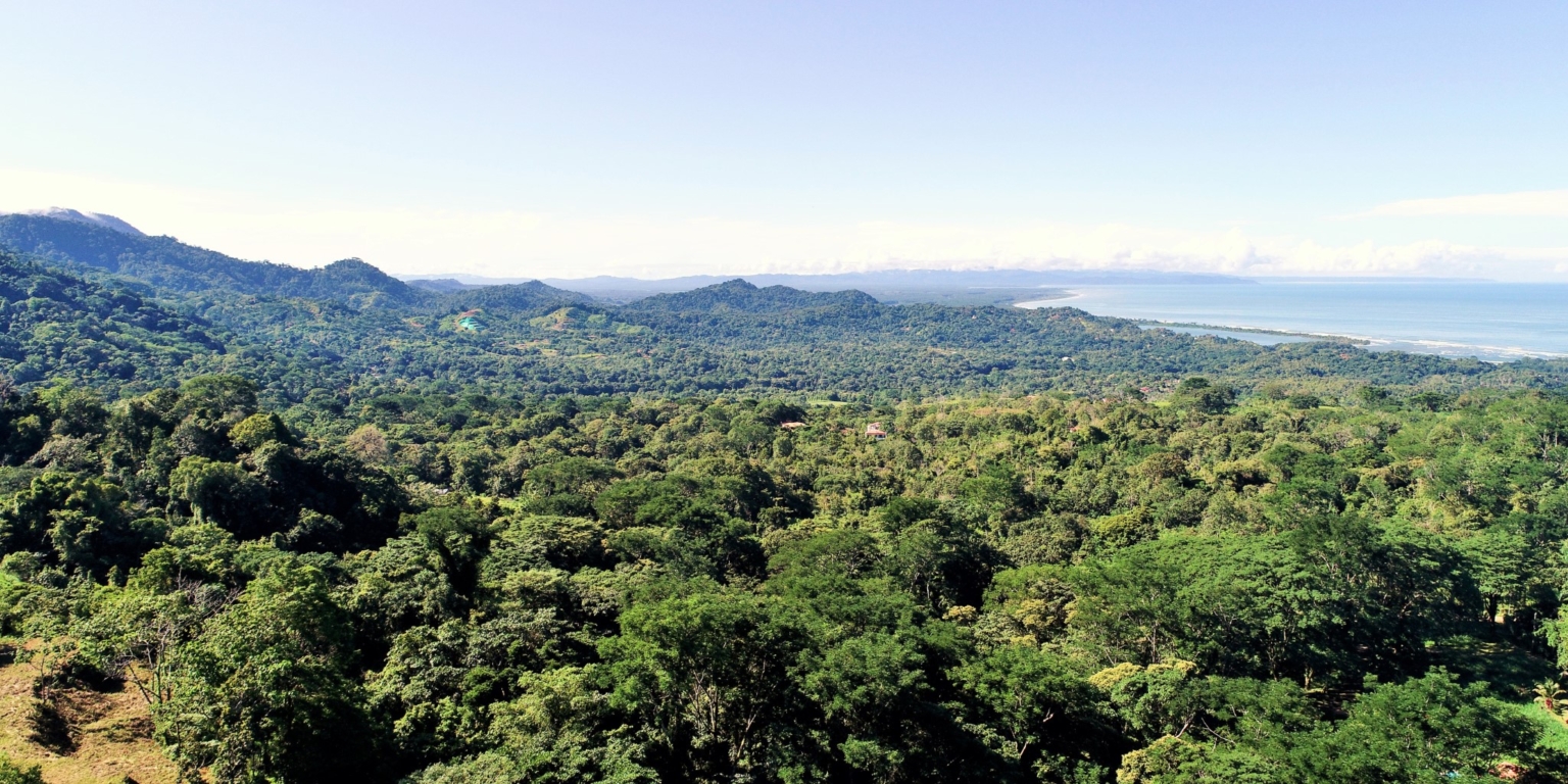 1 (36) The Largest Ready to Build Residential Lot in the Beautiful Gated Community of Turistico Tortuga Phase 6 in Ojochal Costa Rica
