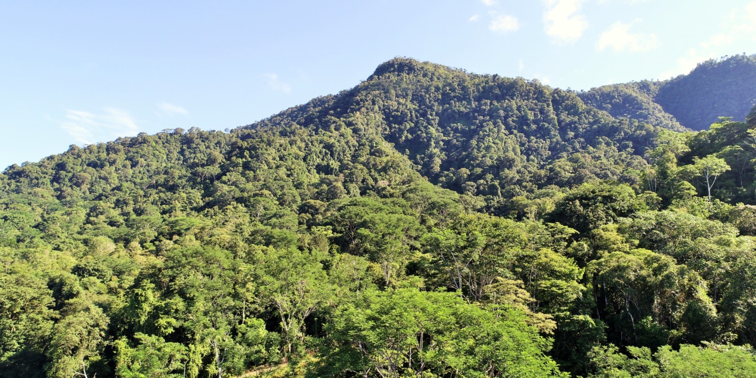1 (35) The Largest Ready to Build Residential Lot in the Beautiful Gated Community of Turistico Tortuga Phase 6 in Ojochal Costa Rica