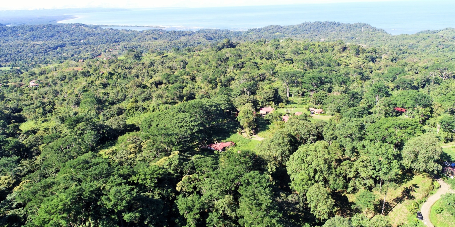 1 (34) The Largest Ready to Build Residential Lot in the Beautiful Gated Community of Turistico Tortuga Phase 6 in Ojochal Costa Rica