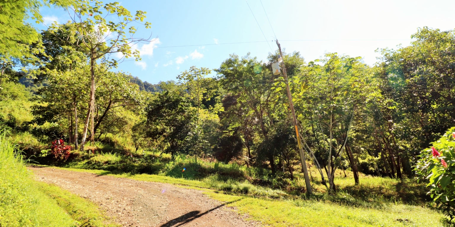1 (32) The Largest Ready to Build Residential Lot in the Beautiful Gated Community of Turistico Tortuga Phase 6 in Ojochal Costa Rica