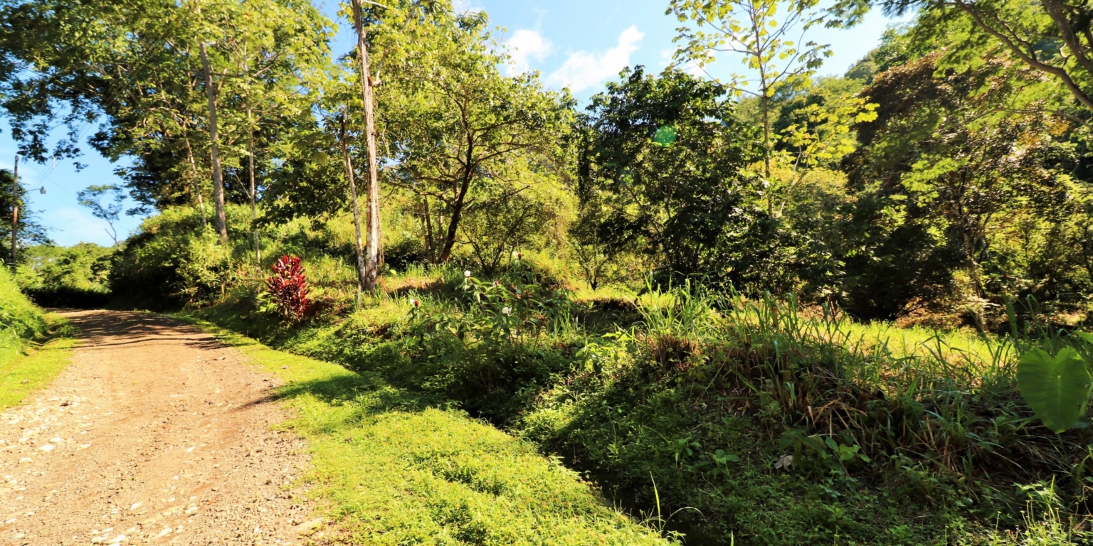 1 (31) The Largest Ready to Build Residential Lot in the Beautiful Gated Community of Turistico Tortuga Phase 6 in Ojochal Costa Rica