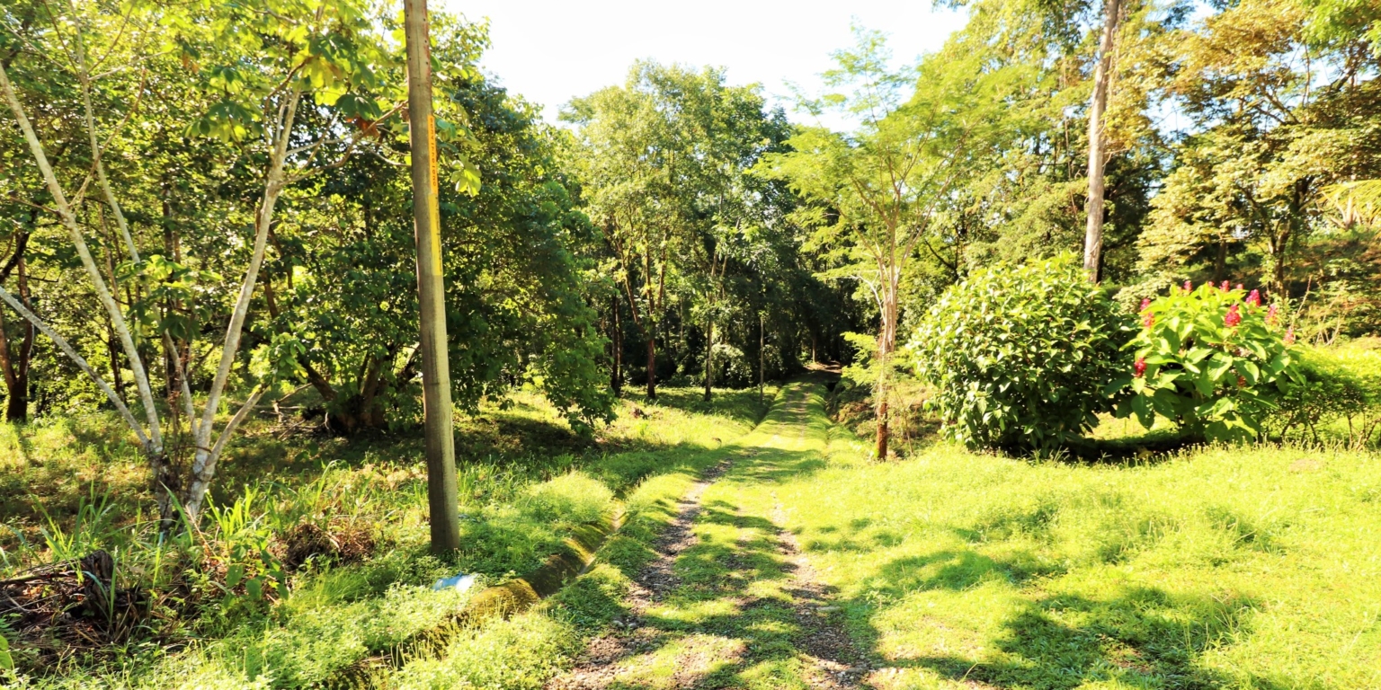 1 (30) The Largest Ready to Build Residential Lot in the Beautiful Gated Community of Turistico Tortuga Phase 6 in Ojochal Costa Rica