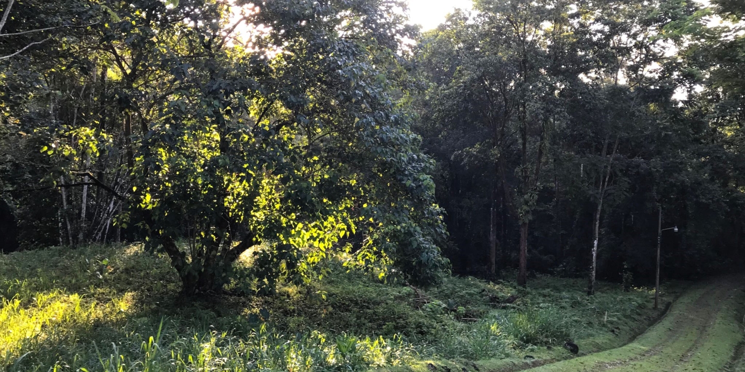 1 (28) The Largest Ready to Build Residential Lot in the Beautiful Gated Community of Turistico Tortuga Phase 6 in Ojochal Costa Rica